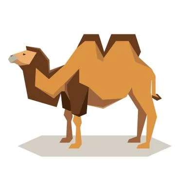 Flat geometrical Bactrian camel Illustrazione stock