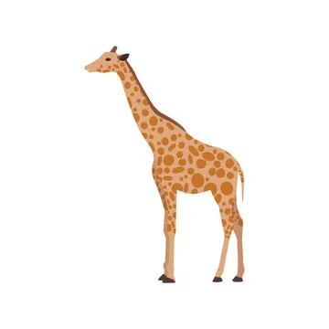 Flat giraffe on white background Stock Illustration
