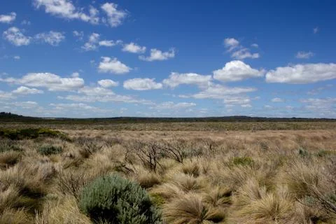 Flat grassland landscape with white clouds, Great Ocean Road, Australia Stock Photos