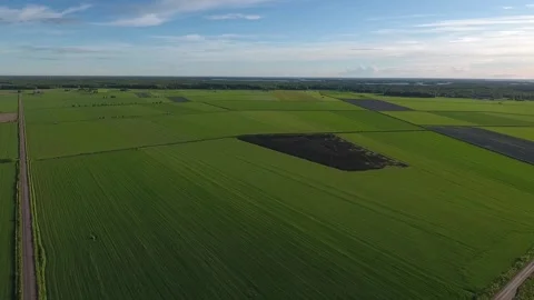 Flat green fields. Aerial view of large green field in western Finland Stock Footage 134792030