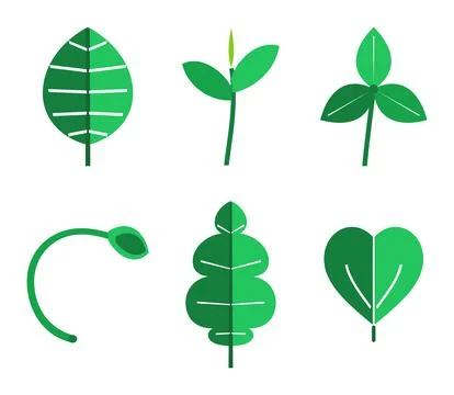 Flat Green Leaf Element, Nature Vector Collection Stock Illustration