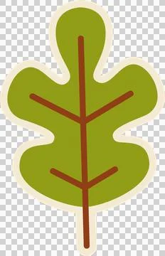 Flat green oak-like leaf is floating on transparent background with cream border Illustrazione stock