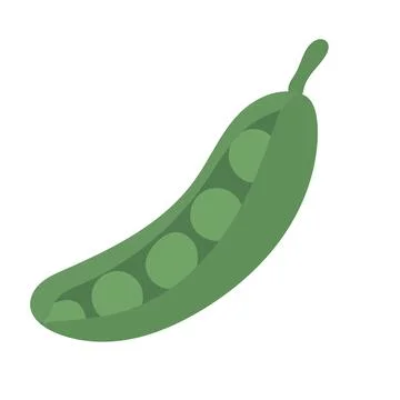 Flat green pea pod packed with round peas, perfect for agriculture icons, garden Stock Illustration