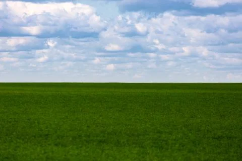 Flat green soybean field with cloudy sky and focus on background with optically Photos