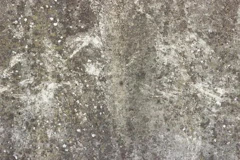 A flat grey concrete surface with a few spots of white lichen Stock Photos