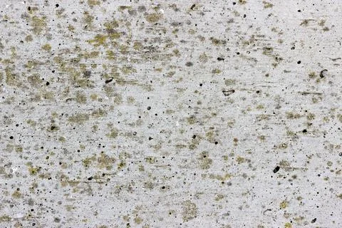 A flat grey concrete surface with light brown spots of lichen Stock Photos