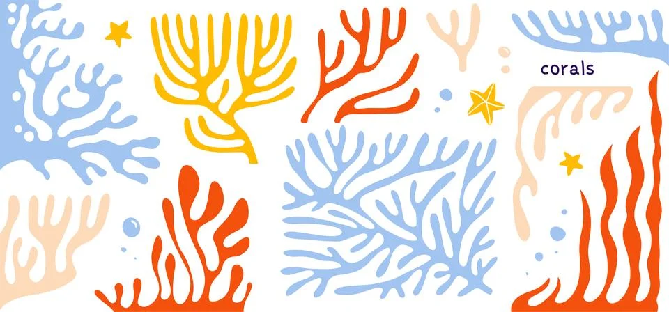 Flat hand drawn Corals and seaweed. Botanical vector Illustration. Underwater Stock Illustration