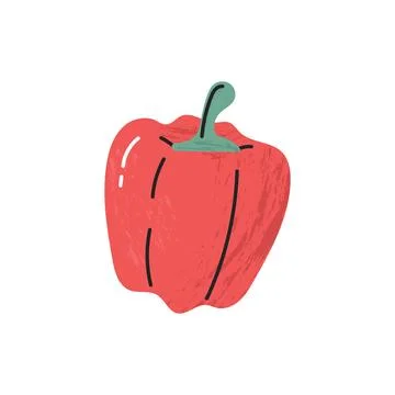 Flat hand-drawn illustration of bell pepper with soft shadow texture doodle s Stock Illustration