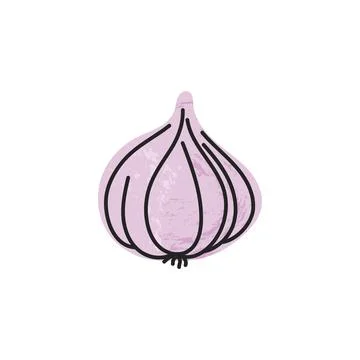 Flat hand-drawn illustration of garlic bulb with soft shadow texture doodle s Stock Illustration