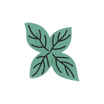 Flat hand-drawn illustration of mint leaves with soft shadow texture doodle.. Stock Illustration