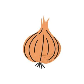 Flat hand-drawn illustration of onion with soft shadow texture doodle style c Stock Illustration