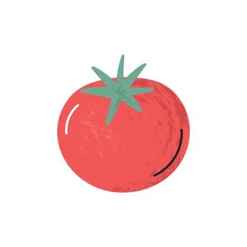 Flat hand-drawn illustration of tomato with soft shadow texture doodle style  Stock Illustration