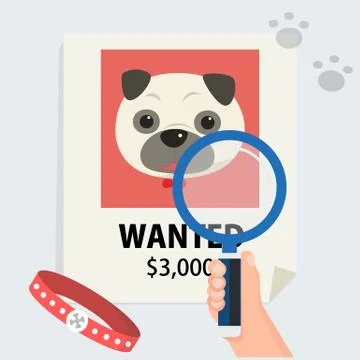 Flat hand with magnification find cute dog from poster and footmark vector Stock Illustration