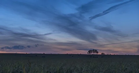 Flat hill meadow timelapse at the summer sunrise time. Wild nature and rural Video stock 128974680