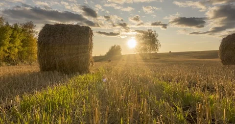 Flat hill meadow timelapse at the summer sunset time. Wild nature and rural Video stock 128976012