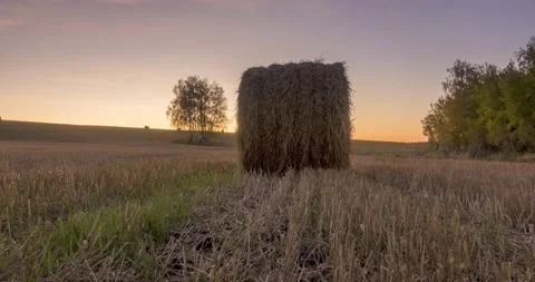 Flat hill meadow timelapse at the summer sunrise time. Wild nature and rural Stock Footage 148990470