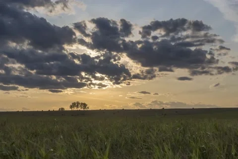 Flat hill meadow timelapse at the summer sunset time. Wild nature and rural Stock Footage 152585191