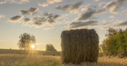 Flat hill meadow timelapse at the summer sunset time. Wild nature and rural Stock Footage 152585643