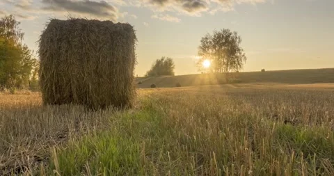 Flat hill meadow timelapse at the summer sunset time. Wild nature and rural Stock Footage 152585924