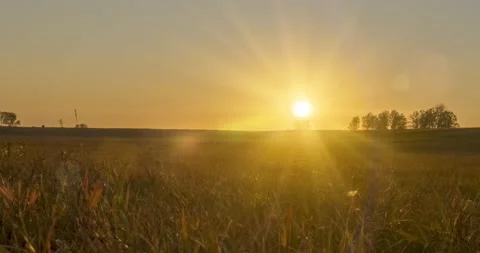 Flat hill meadow timelapse at the summer sunset time. Wild nature and rural Stock Footage 155083826