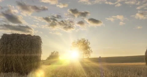 Flat hill meadow timelapse at the summer sunset time. Wild nature and rural Video stock 162310069
