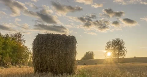 Flat hill meadow timelapse at the summer sunset time. Wild nature and rural Stock Footage 169636328