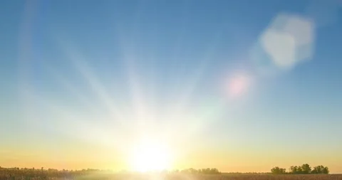 Flat hill meadow timelapse at the summer sunrise time. Wild nature and rural Stock Footage 169637022