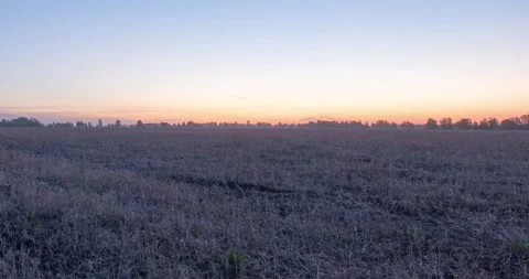 Flat hill meadow timelapse at the summer sunrise time. Wild nature and rural Stock Footage 169655394