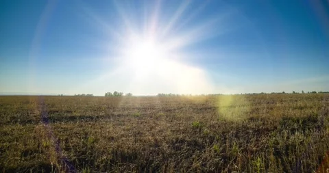Flat hill meadow timelapse at the summer sunset time. Wild nature and rural Stock Footage 169713582