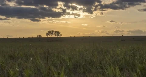 Flat hill meadow timelapse at the summer sunset time. Wild nature and rural Stock Footage 222513026
