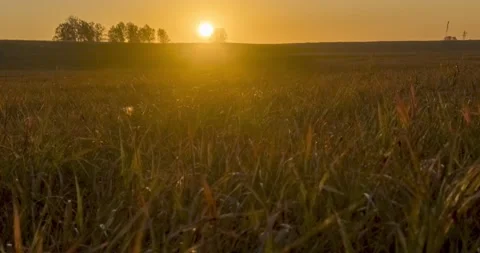 Flat hill meadow timelapse at the summer sunset time. Wild nature and rural Stock Footage 234165301