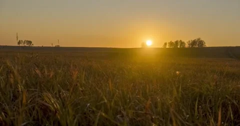 Flat hill meadow timelapse at the summer sunset time. Wild nature and rural Stock Footage 275195935