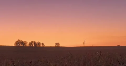 Flat hill meadow timelapse at the summer sunrise time. Wild nature and rural Stock Footage 288832629