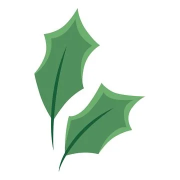 Flat holly leaf vector element for winter and christmas Stock Illustration