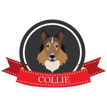 Flat icon Collie Stock Illustration