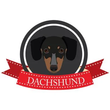 Flat icon Dachshund Stock Illustration
