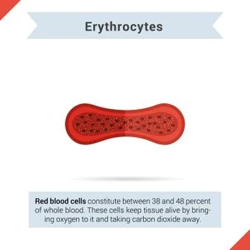 Flat icon erythrocytes cell Stock Illustration