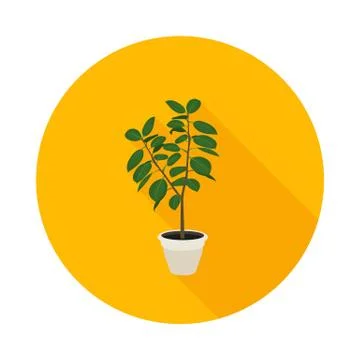 Flat icon ficus Stock Illustration