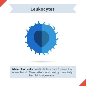 Flat icon leukocytes cell Stock Illustration