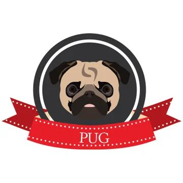 Flat icon Pug Stock Illustration