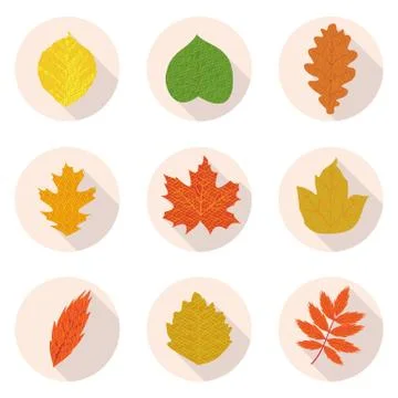 Flat icons leaves Stock Illustration