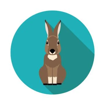 Flat  icons rabbit Stock Illustration