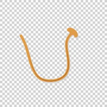 Flat Illustration of a Curved Hammerhead Worm Isolated Stock Illustration