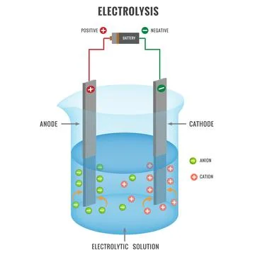 Flat illustration of electrolysis of electrolyte solution in electrochemistry Stockillustratie
