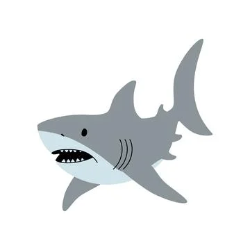 Flat illustration of a grey shark with sharp teeth and a curved tail. Simple and Stock Illustration