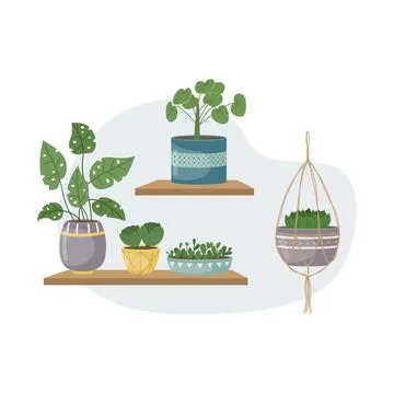 The flat illustration with house pants in pots. Planting. Decorative plants i Illustrazione stock