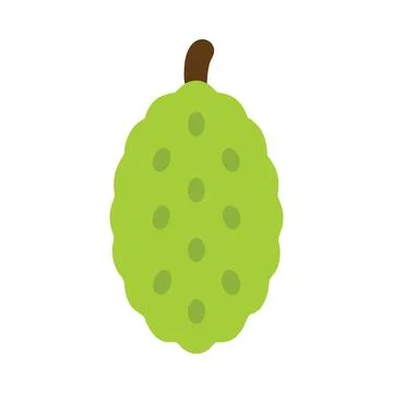 Flat illustration of jack fruit icon for web design Stock-Illustration