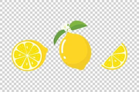 Flat Illustration of a Lemon Slice Illustrazione stock
