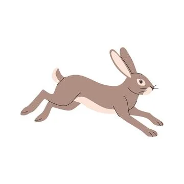 Flat illustration of a running rabbit in motion, shown in side view. Features Stock Illustration
