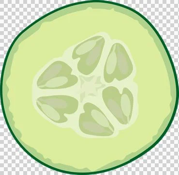 Flat illustration is showing cucumber slice cross section with radial seeds on Illustrazione stock